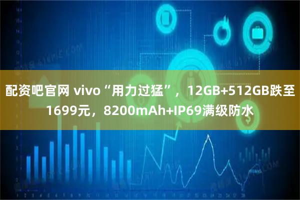 配资吧官网 vivo“用力过猛”，12GB+512GB跌至1699元，8200mAh+IP69满级防水