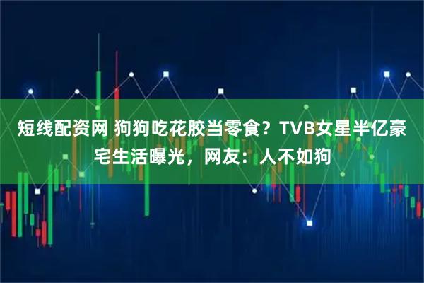 短线配资网 狗狗吃花胶当零食？TVB女星半亿豪宅生活曝光，网友：人不如狗