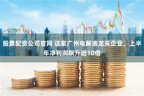 股票配资公司官网 这家广州电解液龙头企业，上半年净利润飙升近10倍